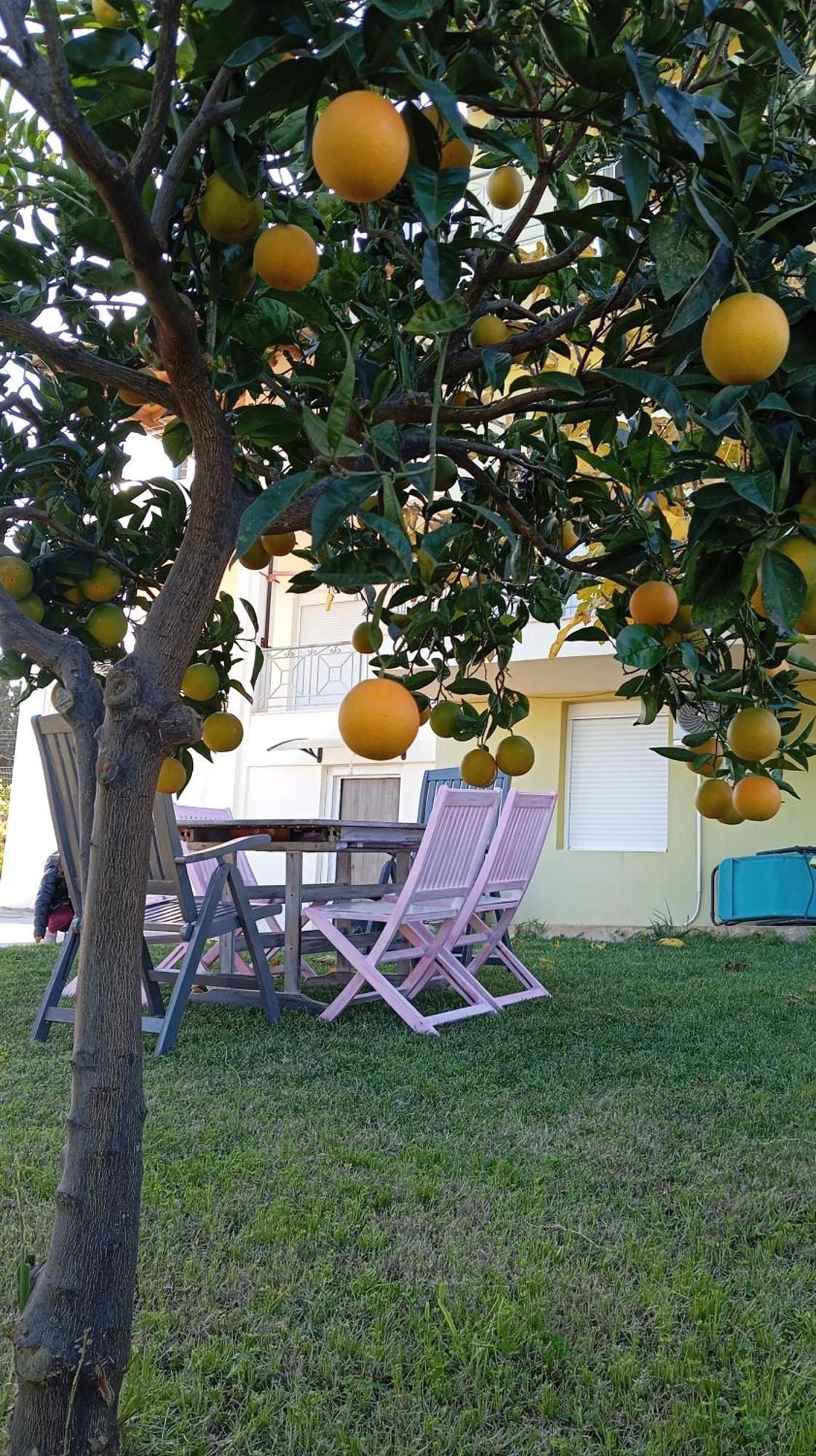 Katia 'S Country House Sikion Exterior foto